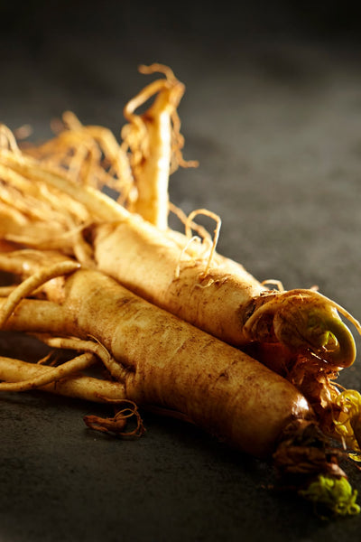Anemarrhena Asphodeloides Root Extract